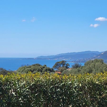 T2 Propriano Vue Mer, Neuf, Climatise Et Classe 3 Etoiles Viggianello Exteriér fotografie